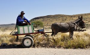 PAC 59 – Les investissements fonciers de la Chine en Afrique Du développement agricole à la recolonisation