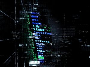 PAC 44 – Les ressources de la cybercriminalité  Le piratage du réseau Google