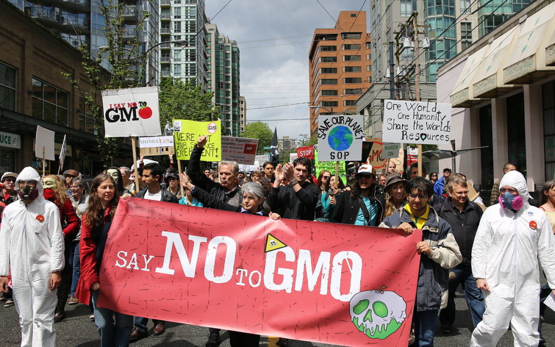 PAC 78 – Le succès politique d’une contre-expertise militante La polémique sur la toxicité des OGM