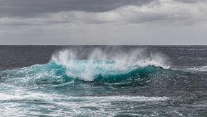 PAC 109 – Los océanos, bienes públicos en peligro La prohibición de la pesca de arrastre profundo en Europa en impasse institucional